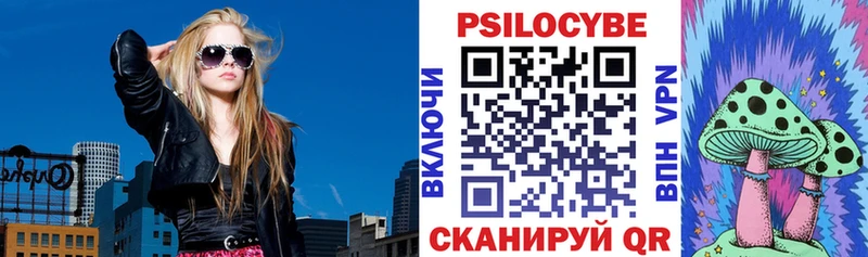 Галлюциногенные грибы Psilocybine cubensis Мышкин